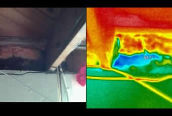 Thermal Imaging Rim Joist 