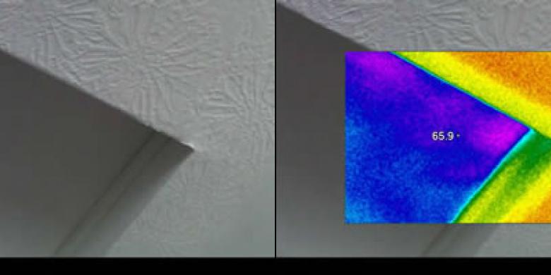 Thermal Imaging of Attic Door 