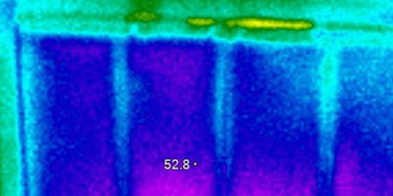 Thermal Imaging Fireplace 
