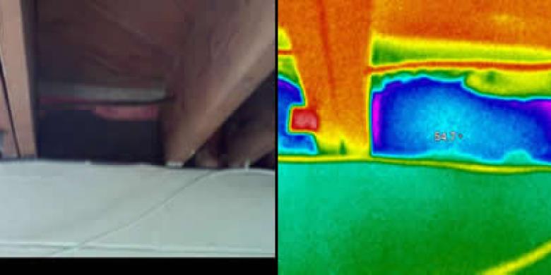 Thermal Imaging Rim Joist 