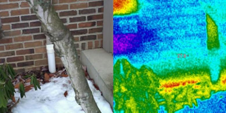 Thermal Imaging of Rim Joist 