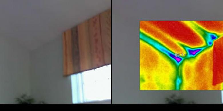 Thermal Imaging Roof Line 