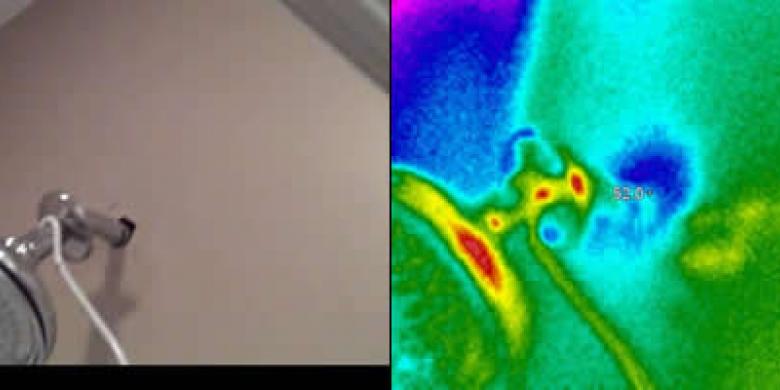 Thermal Imaging Shower 